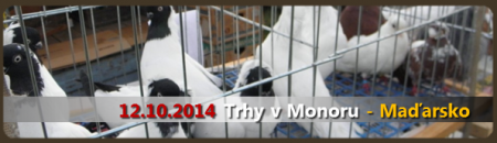 trhy-monor-2014.png