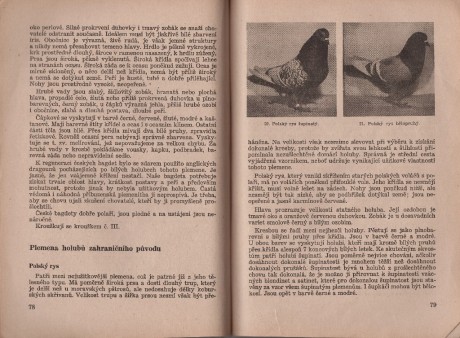 Kniha Zaklady chovu holubu_005