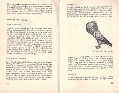 Kniha Prirucka chovatele holubu_006