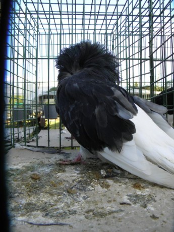 P9270290