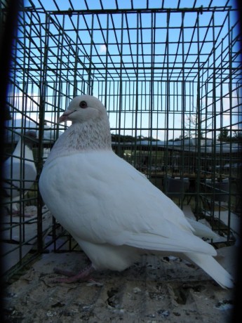 P9270299