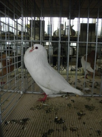 PB010537