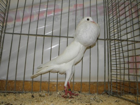 PC200450