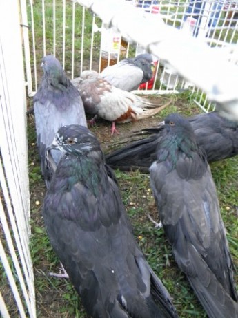 P9130402