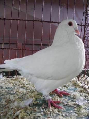 P9190200