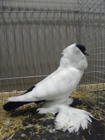 PC060506