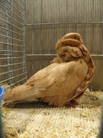 PC040309