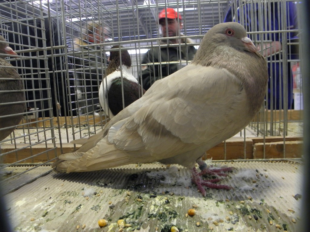 P1110023