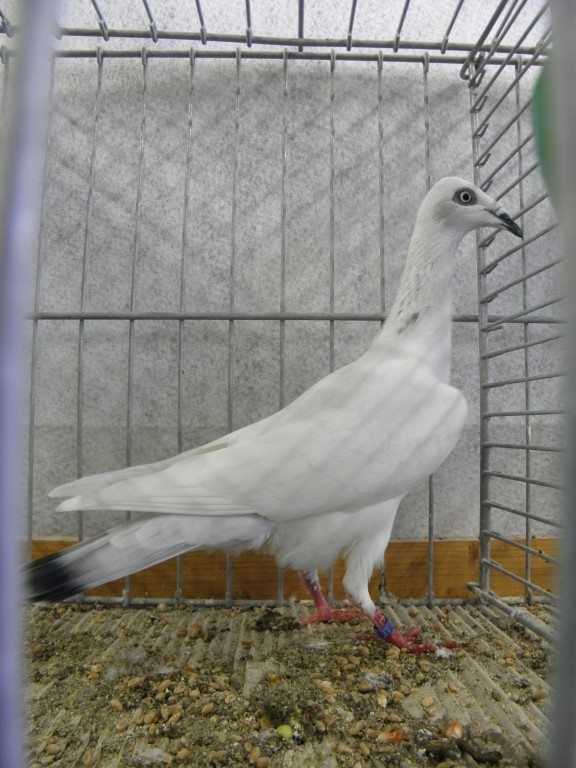 P1250018