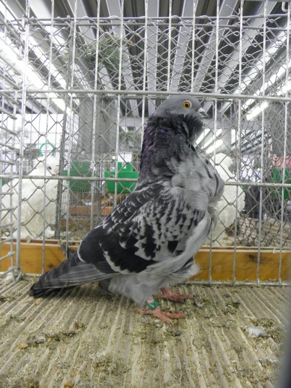 P1250048