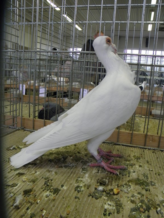 PB190766