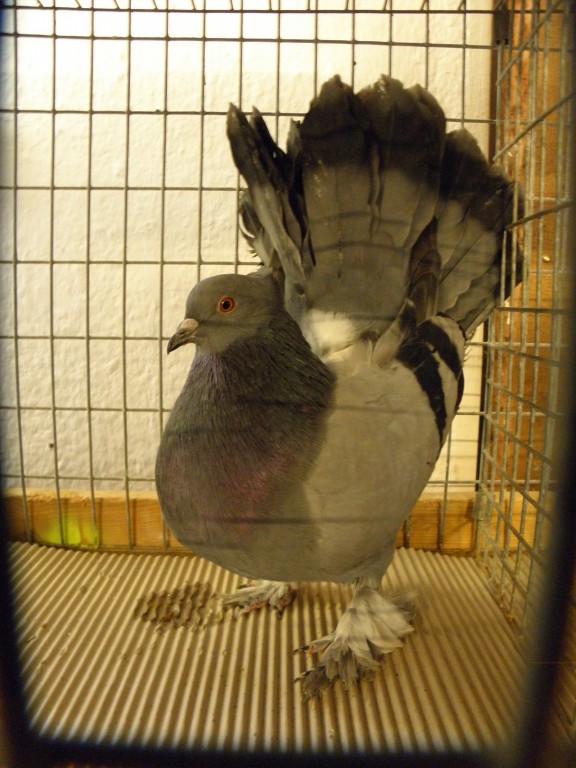 P2080094
