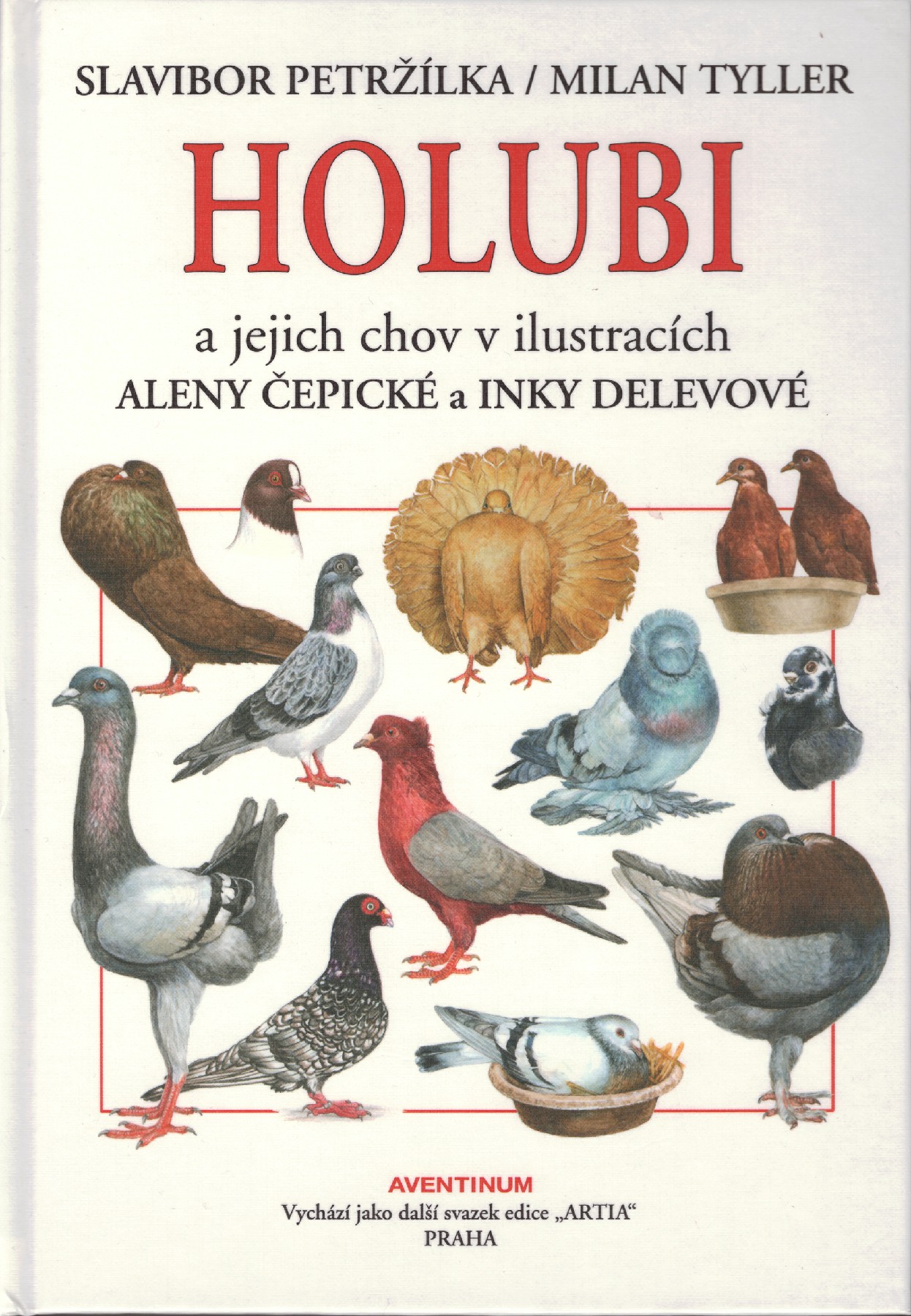 Kniha Holubi