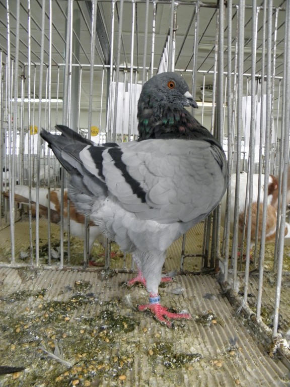P9280420