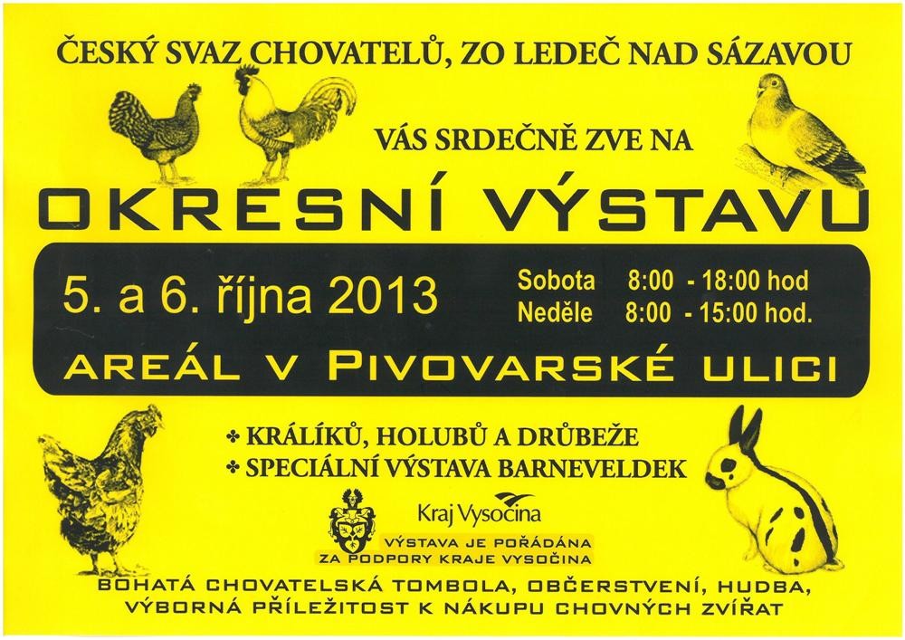 Okresní výstava 2013