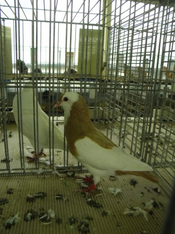 PB010493