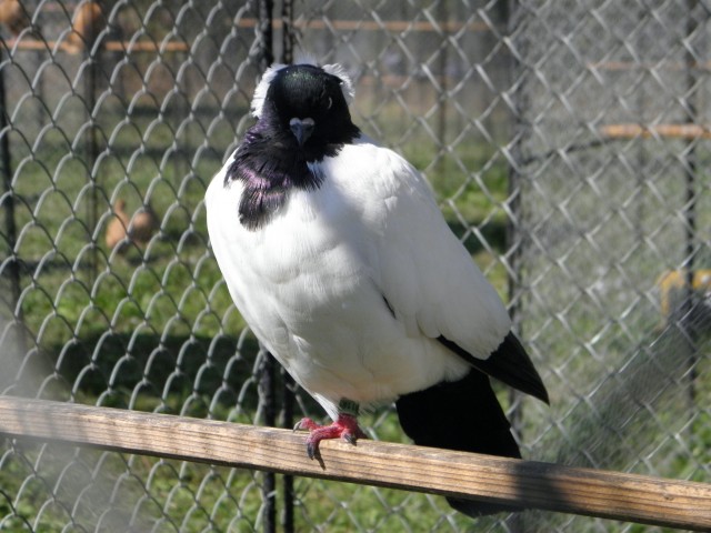 P9120016