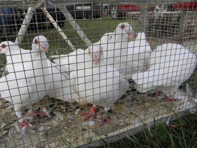 P9130370