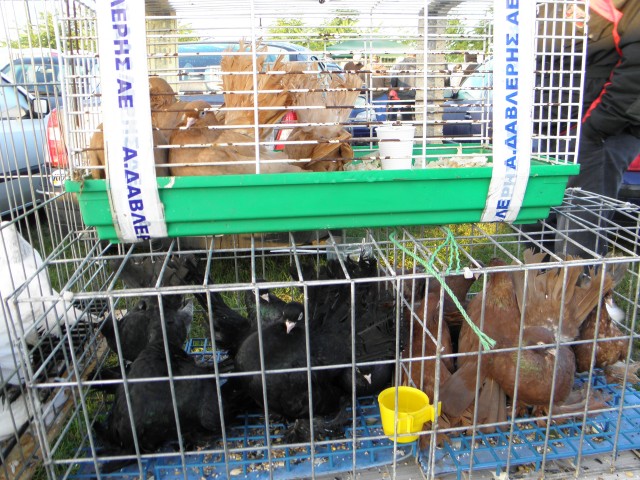 P9130451