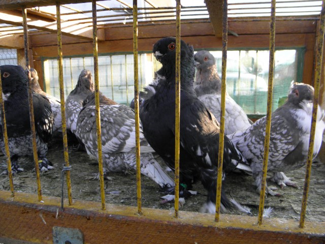P9130640