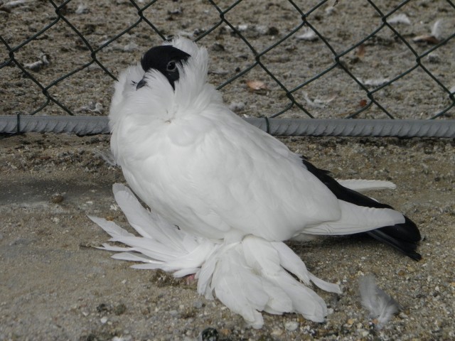 PA040180