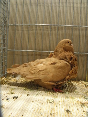 PC040304