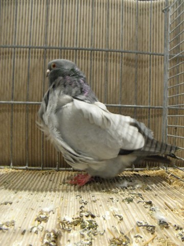 PC040327