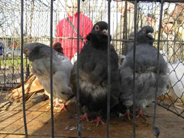 P2060057
