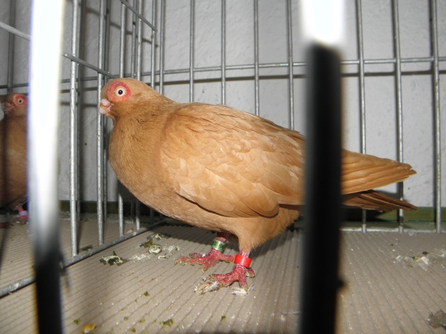 P2060350