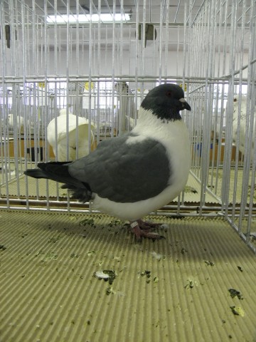 P2070236