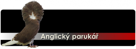 anglicky-parukar.png