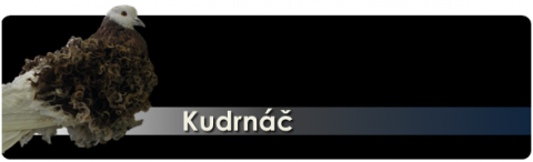 kudrnac.png