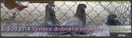 vystava-drobneho-zvirectva-sobeslav-2014.png