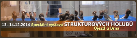 specialni-vystava-strukturovych-holubu-2014-ujezd-u-brna.png