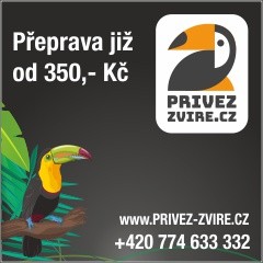 privez-banner240x240.jpg