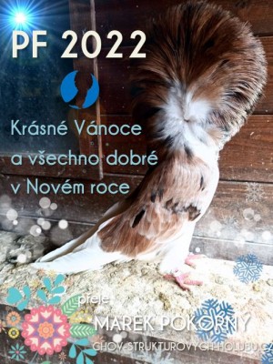 pf22.jpg